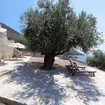 Sunny Kotronas