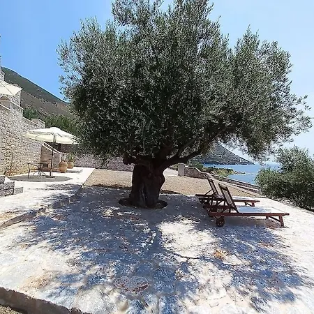 Sunny Kotronas
